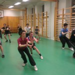 Wushu Stockholm IF xubu shuangzhang