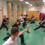 Wushu Stockholm IF gongbu chongquan