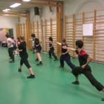 Wushu Stockholm IF gongbu pizhang